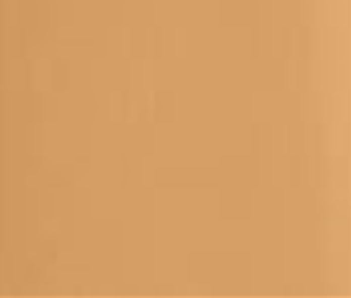 Bobbi Brown Intensive Serum Foundation SPF 40 - Amber Cold 06 - 30ml